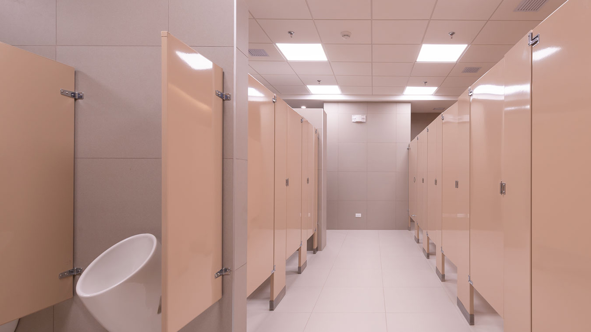 Toilet partitions/Particiones para baño