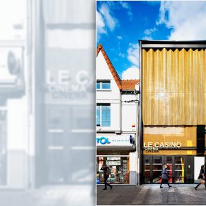 malla metálica arquitectónica